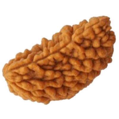  Service Provider of 1 Mukhi Rudraksha New Delhi Delhi 