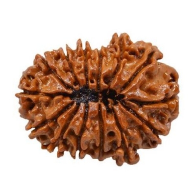  Service Provider of 14 Mukhi Rurdraksha New Delhi Delhi 