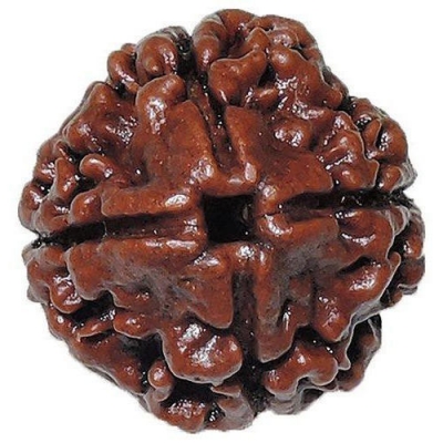  Service Provider of 4 Mukhi Rudraksha New Delhi Delhi 